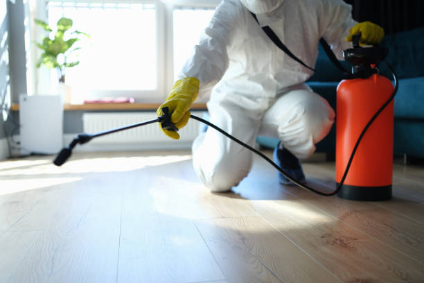 Trusted Trauma Scene Cleanup service in San Simeon, CA - Four Month Blood Cleanse